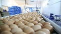 Iraq insists egg output exceeds demand but lifts import ban as prices spike