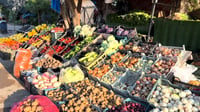 الزراعة تقرر فتح الاستيراد أمام محصولي الطماطم والبصل ...