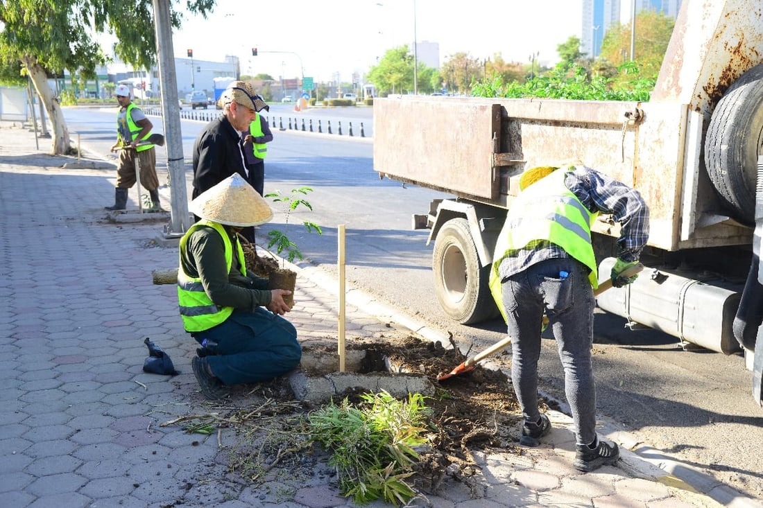 شەقام بە شەقام لەهەولێر دار دەچێندرێت