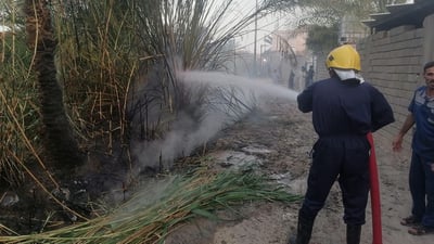صور: السيطرة على حريق في “العلوان” شمال البصرة قبل التهامه النخيل