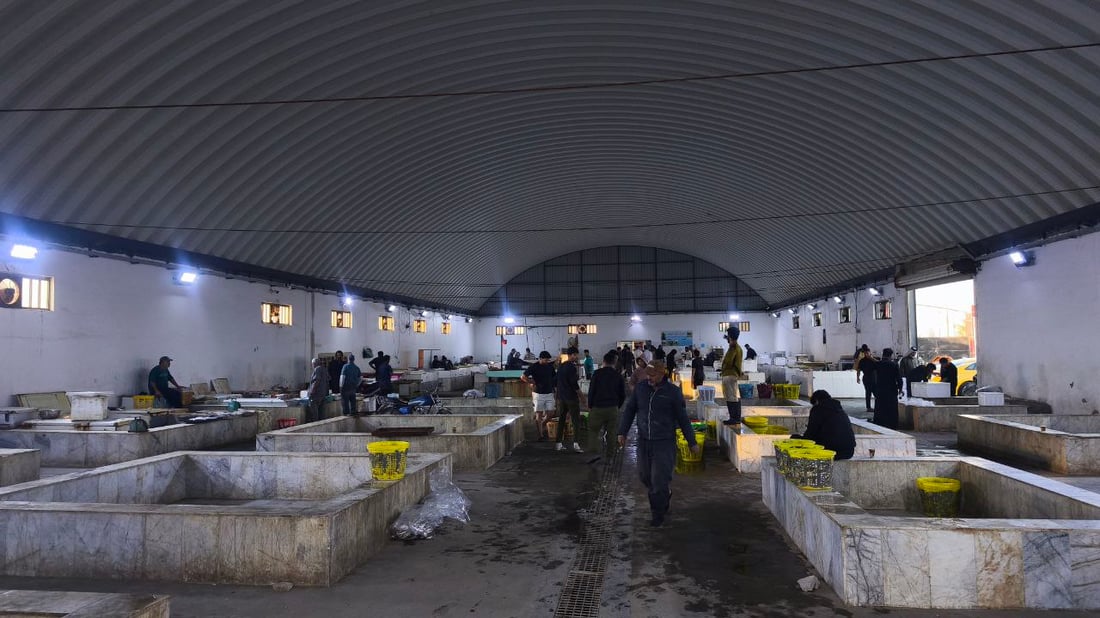 البحر يجود على البصرة.. أسعار الأسماك تهبط و”أكل الفقير” صار بألف دينار