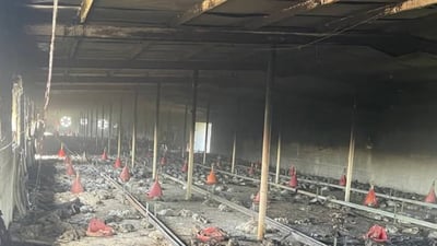 ئاگر لە هەناوی کێڵگەیەکی پەلەوەری سنووری بنگرد هەڵگیرسا