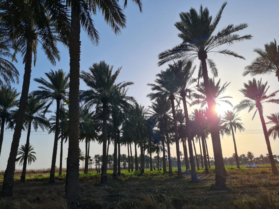“أصوات تفجير” تمنع شرق الأنبار من توسيع المساحات الزراعية