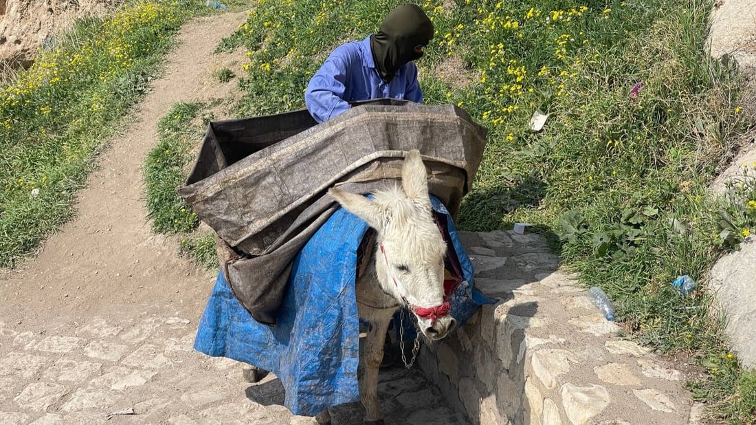 راتب الحمار في عقرة 350 ألف دينار.. والعقود حتى 2027 (صور)