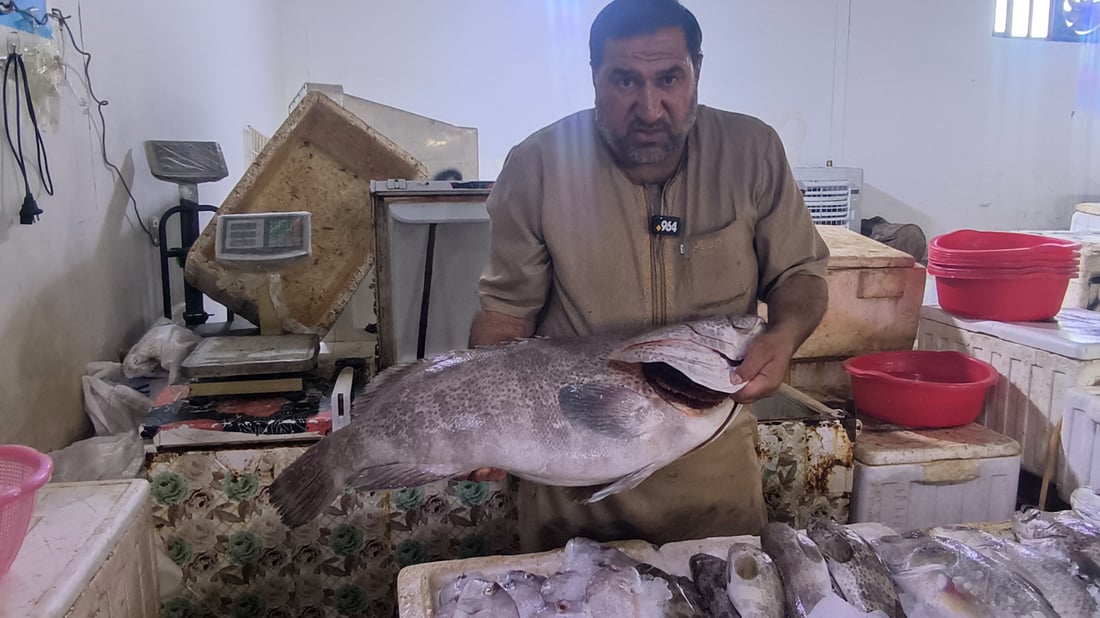 فيديو: موسم وفير في مرسى النقعة.. 5 أطنان روبيان وهامور بـ12 ألف دينار