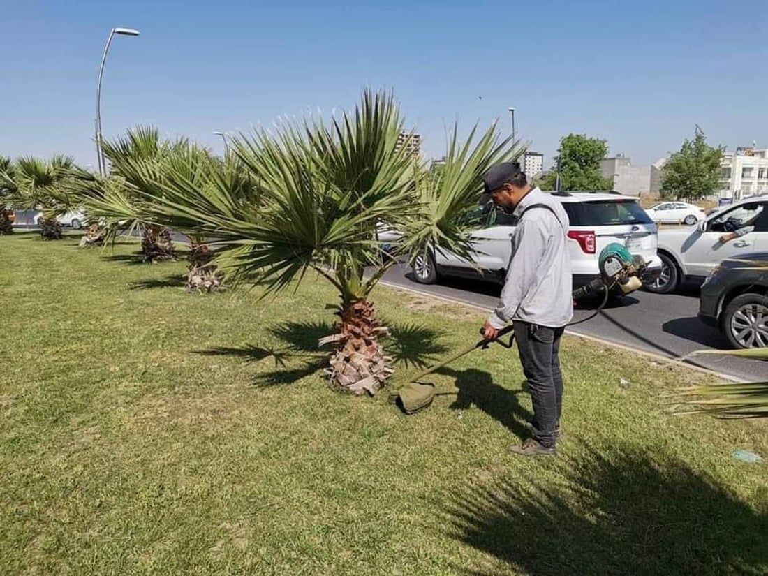   گوڵ و نەمامەكانی شەقامەكانی هەولێر هەڵپاچران