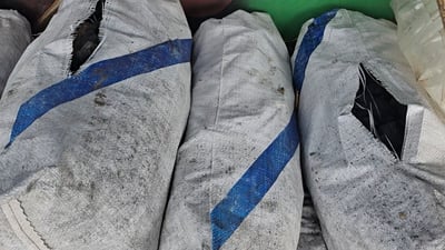 لەگەڵ هەندێک لە سەوزەکان دار و خەڵووزیش گرانبوون