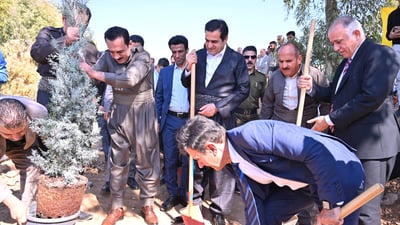 هەڵمەتێکی دارچاندن بەڕێوەچوو