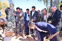 هەڵمەتێکی دارچاندن بەڕێوەچوو