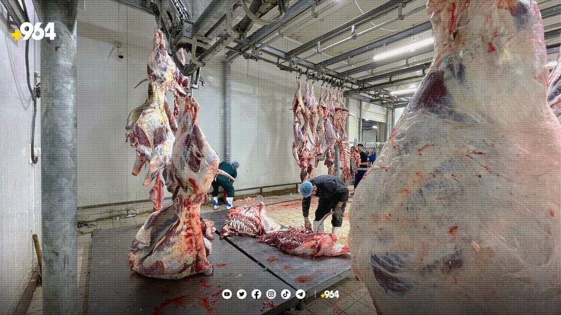 لە خەلەكان تەنیا لە كوشتارگەكان ئاژەڵ بۆ قوربانی سەربڕاوە