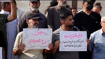 فيديو: مرضى الكلى يريدون المساواة مع السرطانية.. تظاهرة تطالب بالتعيين والأراضي