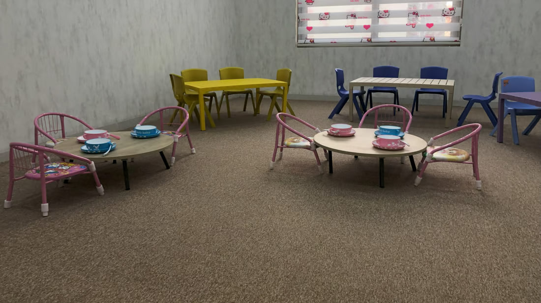 Iraqi Red Crescent opens Erbil shelter for homeless children