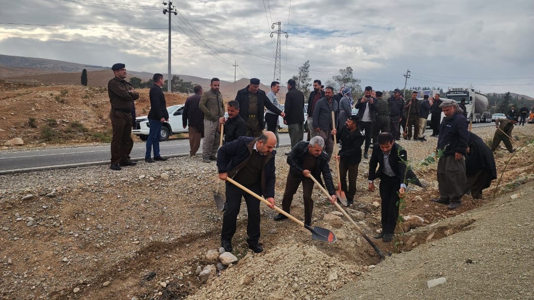 لە مارکێتە ئەمریکییەکە خواست لەسەر ماستی مەڕە