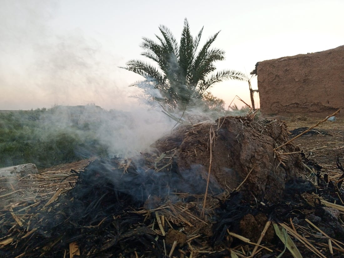 964mediaصورة من منصة (شبكة): 