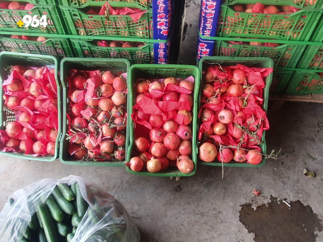 كشتوكاڵى هه‌ولێر رێگه‌نادات به‌رهه‌مى قه‌ده‌غه‌كراو له‌ عه‌لوه‌كه‌ى ساغبكرێته‌وه‌