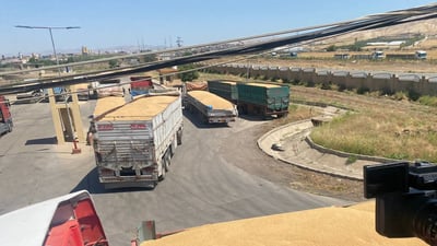 بۆ وەرگرتنی پارەی گەنم؛ دەبێت جوتیاران هەژماری بانکی بکەنەوە