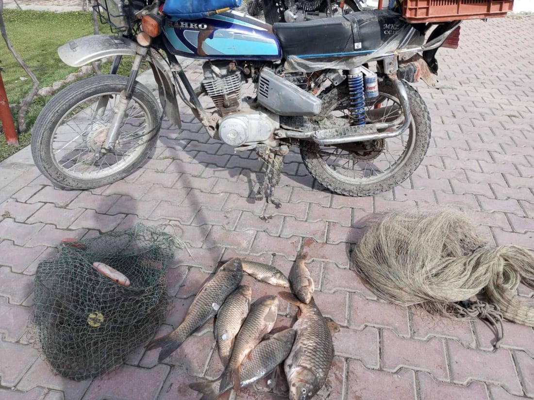 Environmental police arrest seven at Darbandikhan Lake for illegal fishing during seasonal ban