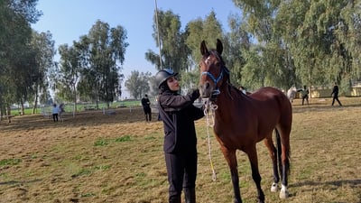 فيديو: بنات نينوى والبصرة وأربيل في سباق خيول شاق.. الموصل الأولى بفروسية العراق