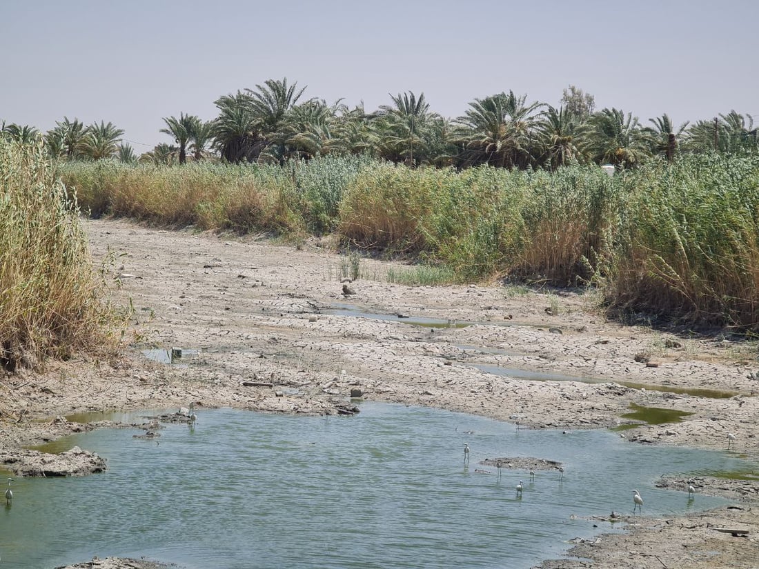 صور صادمة واستغاثة من 14 قرية في المثنى: لا ماء.. “المريبي” جف تماماً