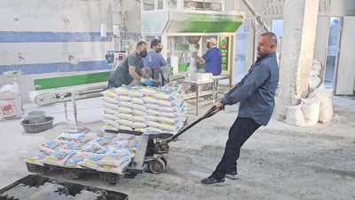 نابیستێک 33 ساڵە ژمێریار و سەرپەرشتیاری کارگەیەکە  