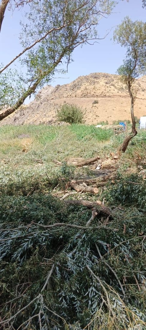 لە گوندێکی چۆمان 50 شۆڕەبی قەتڵوعام کران