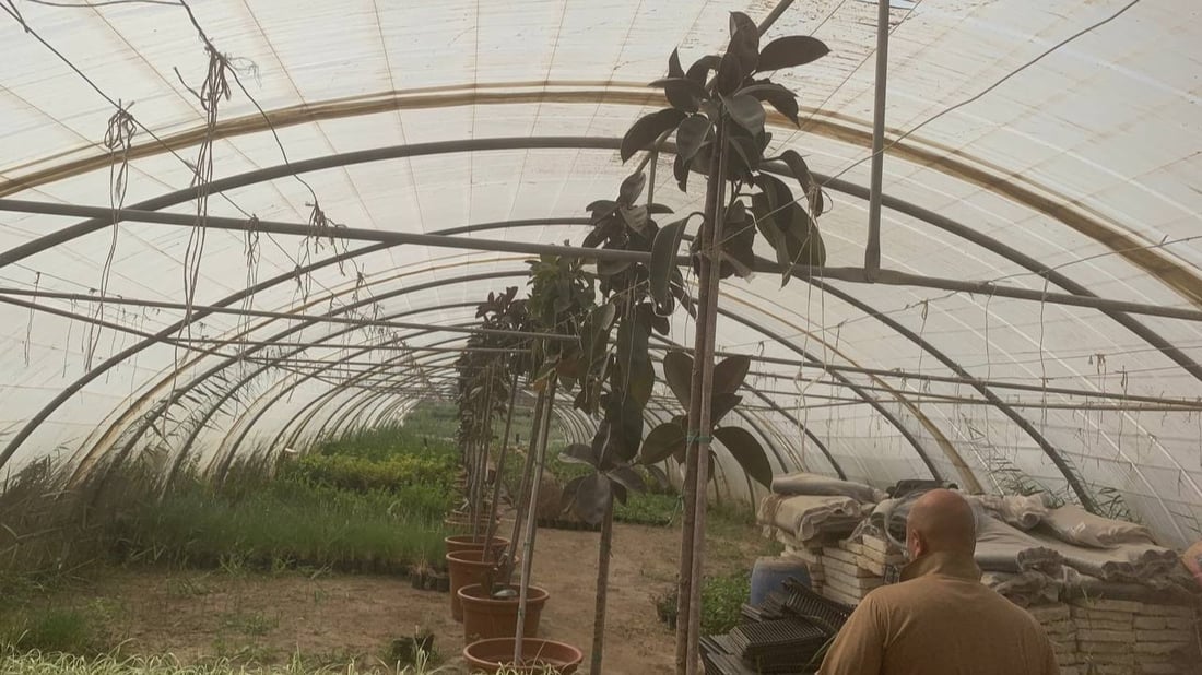 قد لا يعرفها كثير من أهل بغداد.. “العدوانية” البعيدة مصدر نباتات المطار النادرة