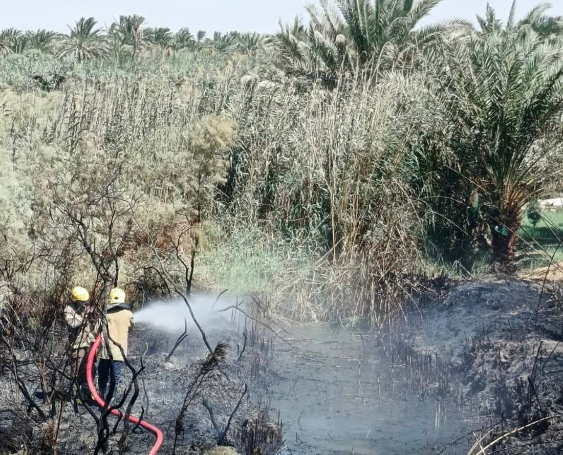 Fire destroys 100 palm trees in Al-Huwash orchard
