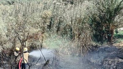 Fire destroys 100 palm trees in Al-Huwash orchard