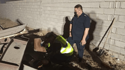 تیمەکانی بەرگریی شارستانیی سۆران سەگێکیان بە سروشت شاد کردەوە