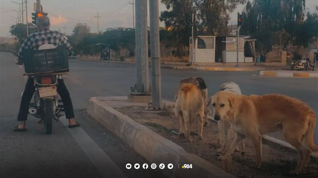 سۆراغ.. تا ئێستا زه‌وى بۆ شه‌ڵته‌ره‌كه‌ى گه‌رمیان دابین نه‌كراوه‌