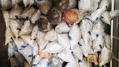 له‌ خه‌لیفان زیاتر له‌ 200 فه‌رده‌ خه‌ڵوزى ده‌ستبه‌سه‌رداگیرا و به‌ ئاشكرا ده‌فرۆشرێت