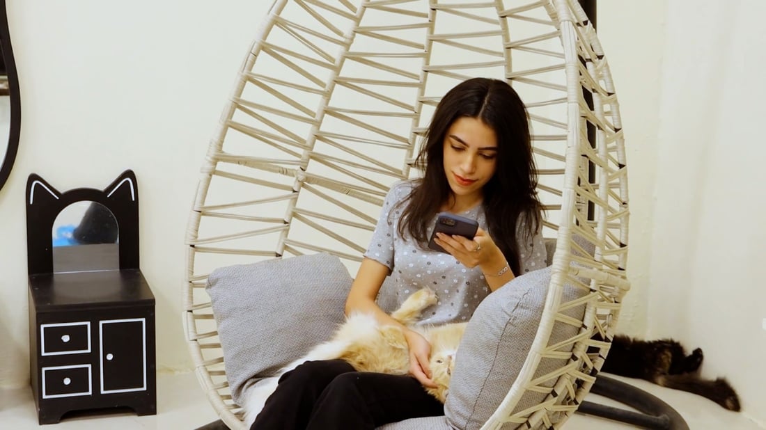 Cat café opens in Baqubah, offering safe space for pet lovers
