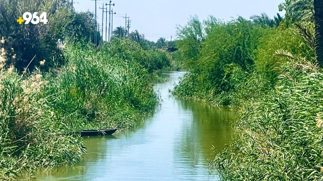 964mediaصورة من منصة (شبكة): 