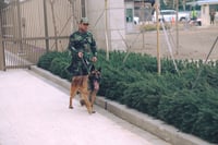  سەگەکانی K9ـى پێشمەرگە لە ناو کونسوڵخانەی ئەمریکا مەش�...