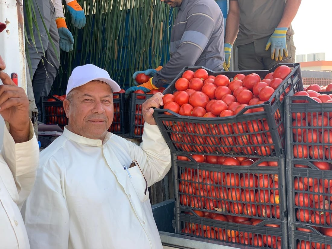 “طماطة نورة” تقفز من 4 آلاف إلى 22 ألفاً.. ربيعة تعوض خسائرها