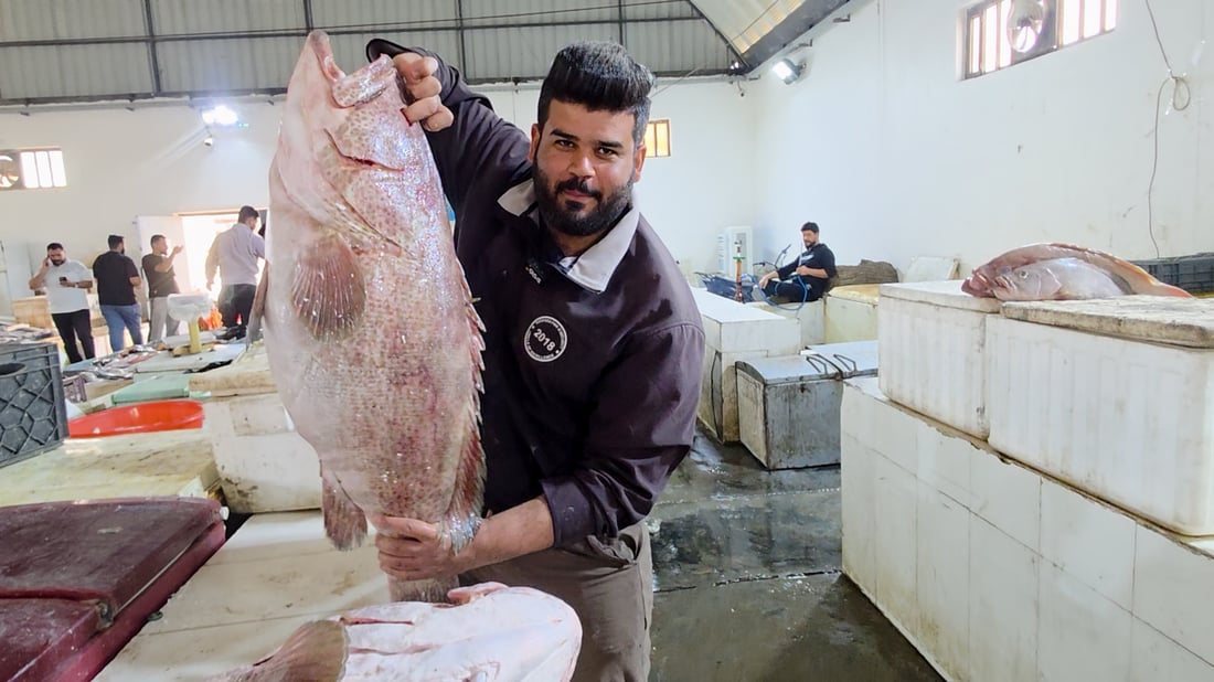 فيديو: قوارب الفاو تعود بطن من الهامور العملاق بوزن يتجاوز 45 كغم