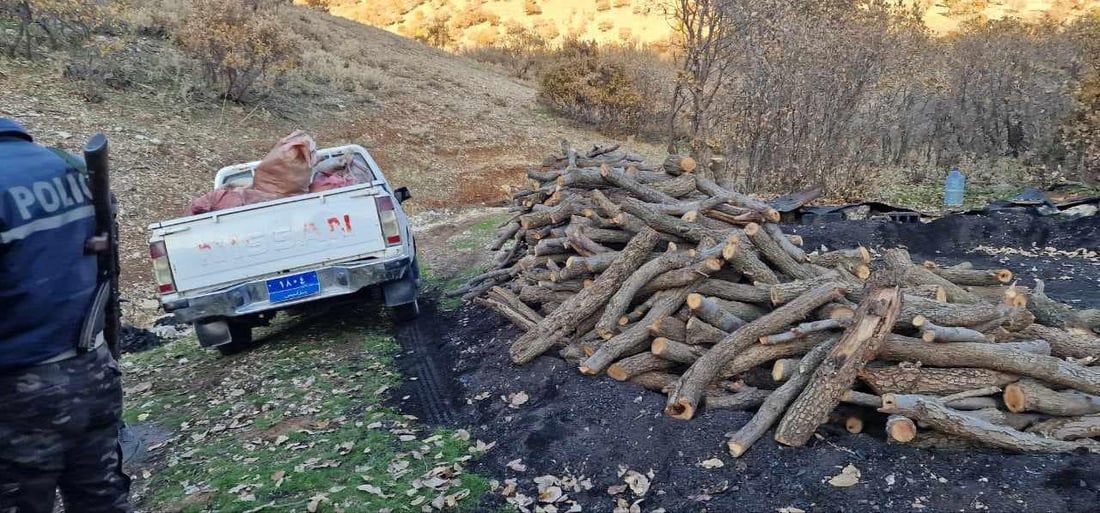 Illegal logging operation uncovered in Sulaymaniyah