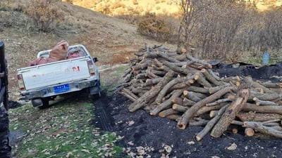 Illegal logging operation uncovered in Sulaymaniyah