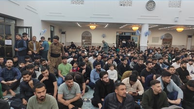 وەڵامی پرسیار بزانە و پیزا یان ماسی و مریشک بەبەلاش وەرگرە