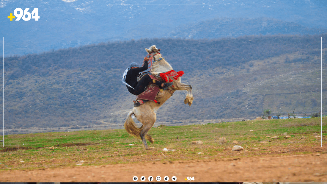 دهۆک یانەی ئەسپسواریی تێدا نییە