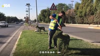 تیمێكی شێوه‌كارى ئاژه‌ڵ و باڵنده‌ له‌ناو هه‌ولێر بڵ...