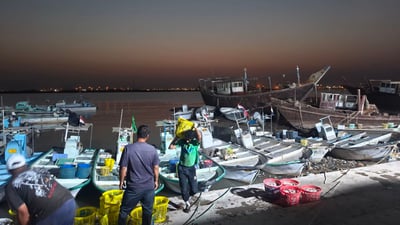 “المعلوگه” قريباً على موائد البصريين.. أسماك الفيلو والحمره تصل مرسى النقعة
