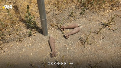 چەندان گولە هاوەن و ئارپیجی دۆزرانەوە