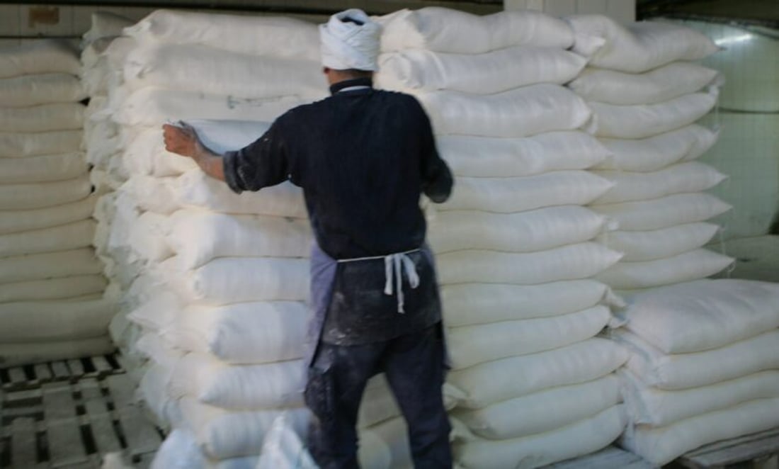 Iraq plans 3 million tons of ‘00 flour’ production to end imports