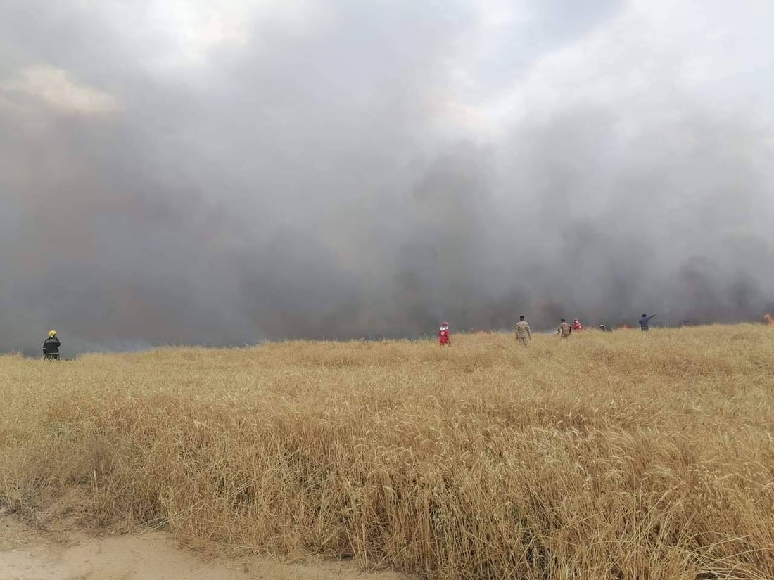 صور: داقوق تخمد 4 حرائق وتنقذ 10 آلاف دونم من محصول الحنطة