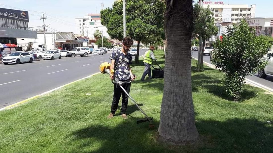 صور: أربيل تضع اللمسات الأخيرة على حملتها الكبرى لتقليم أشجار المدينة