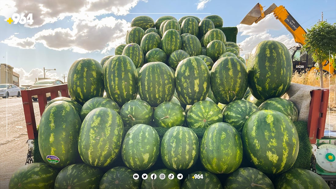 باج لەسەر شووتیی هاوردە دادەندرێت