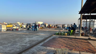لليوم الثالث على التوالي.. “غضب البحر” يوقف أكبر مزاد للأسماك في العراق