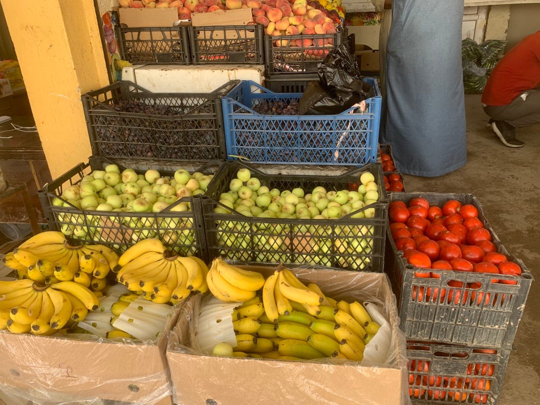 بغداد تنتظر خيرات ربيعة.. البامية إلى 3 آلاف لكنها ستتأخر قليلاً هذا العام (صور)