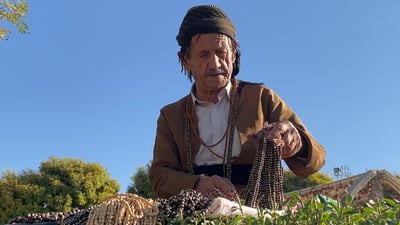 گۆرانی دەڵێت و مێخەک دەفرۆشێ